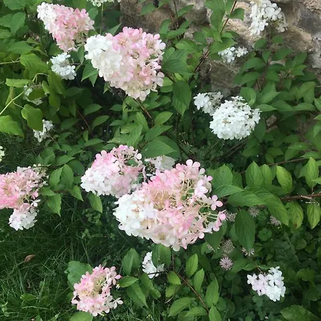 Clos Remy Couette-café 3*