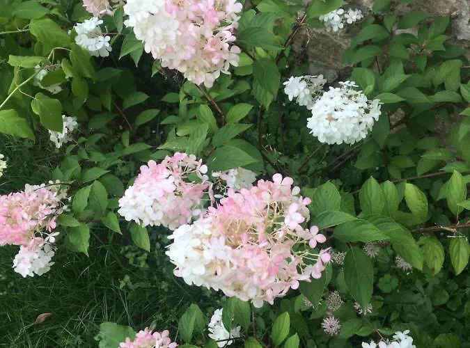 Clos Remy Bed & Breakfast 3*