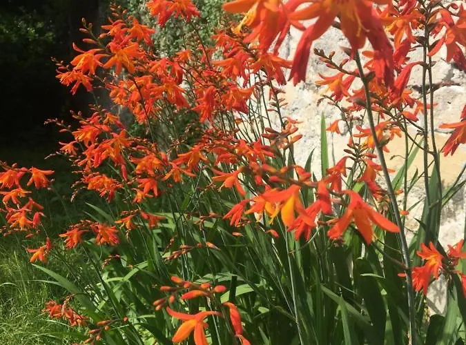 Bed & Breakfast Clos Remy 3*