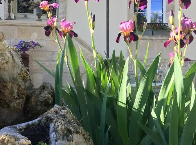 Clos Remy 3* Precy-sur-Oise